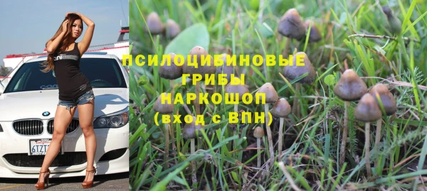 хмурый Алексеевка