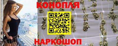 шишки Нальчик