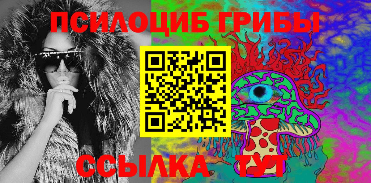 Псилоцибиновые грибы Psilocybe Соликамск